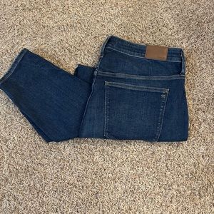 Madewell Curvy High Rise Skinny Jean